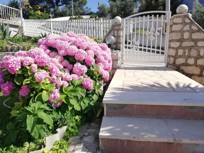 Apartment Cactus Donji Okrug  Εξωτερικό φωτογραφία