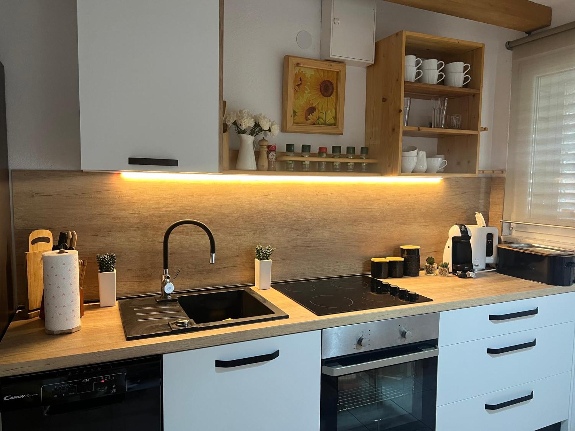 Apartment Cactus Donji Okrug  Εξωτερικό φωτογραφία