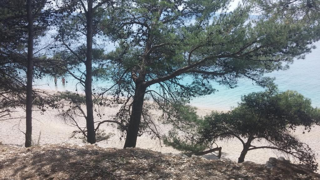 Apartment Cactus Donji Okrug  Εξωτερικό φωτογραφία
