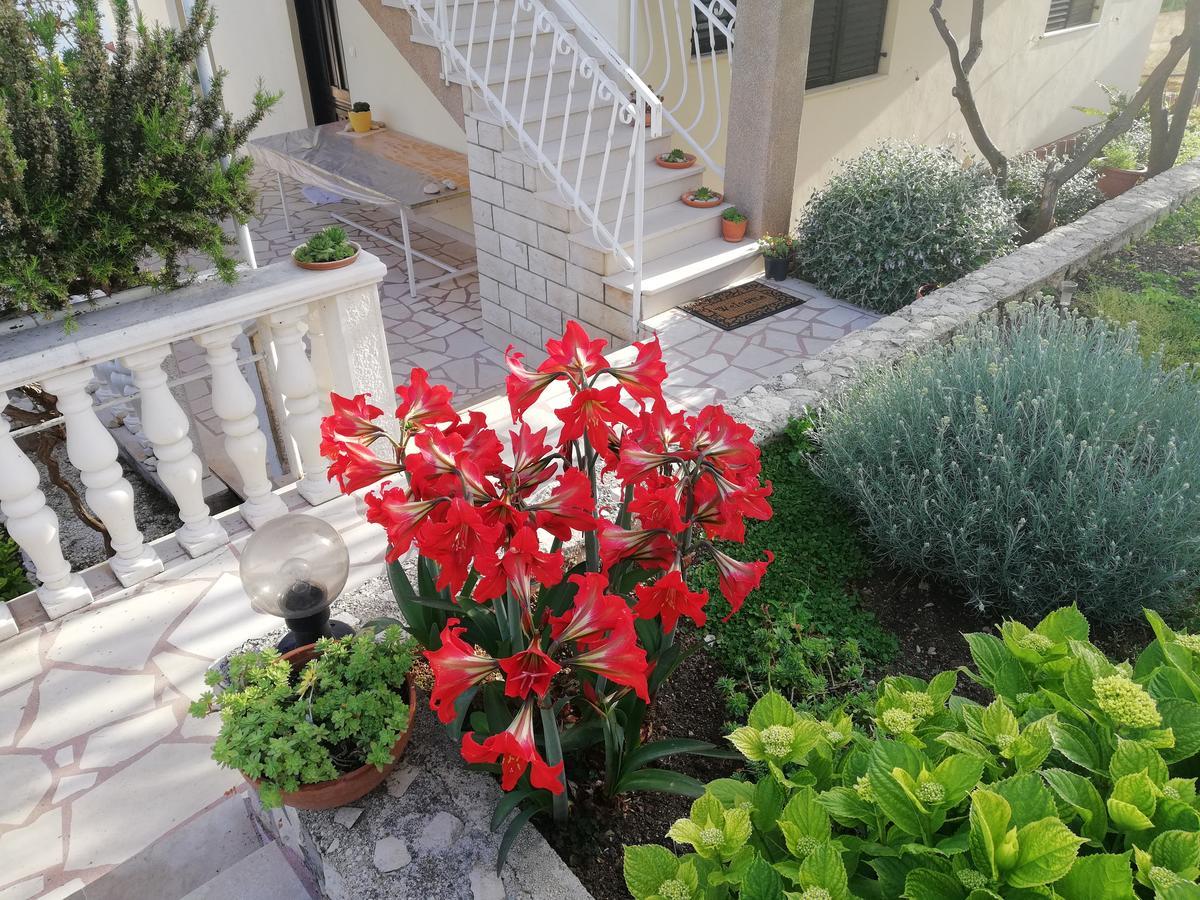 Apartment Cactus Donji Okrug  Εξωτερικό φωτογραφία