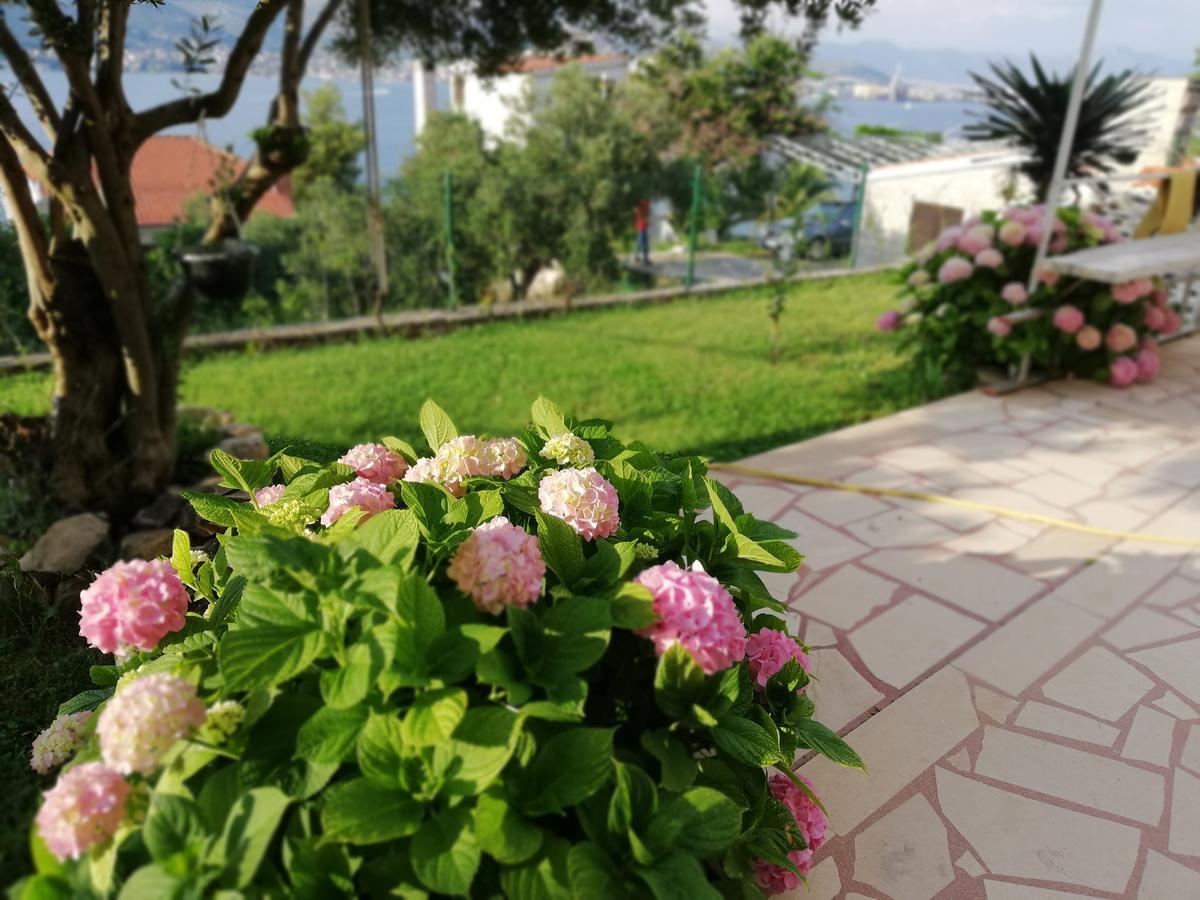 Apartment Cactus Donji Okrug  Εξωτερικό φωτογραφία