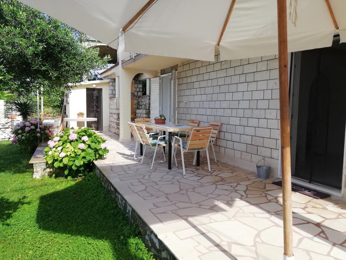 Apartment Cactus Donji Okrug  Εξωτερικό φωτογραφία